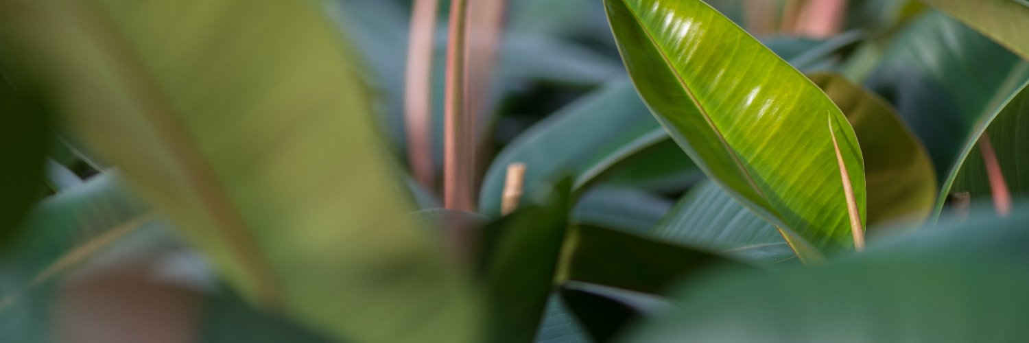 Green05bv's profile banner image