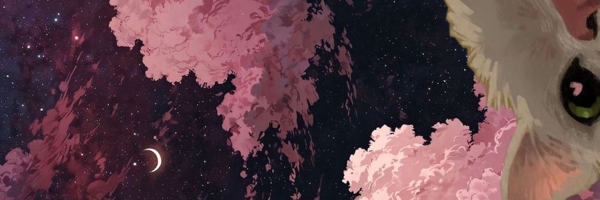 chassmn's profile banner image