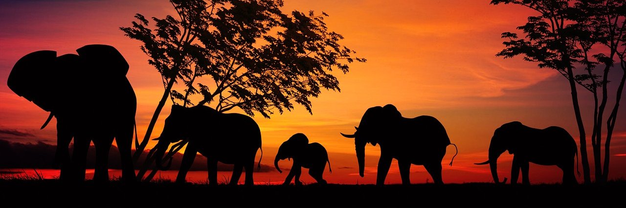 gotoursafrica's profile banner image