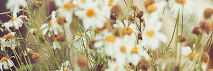 praewko2's profile banner image