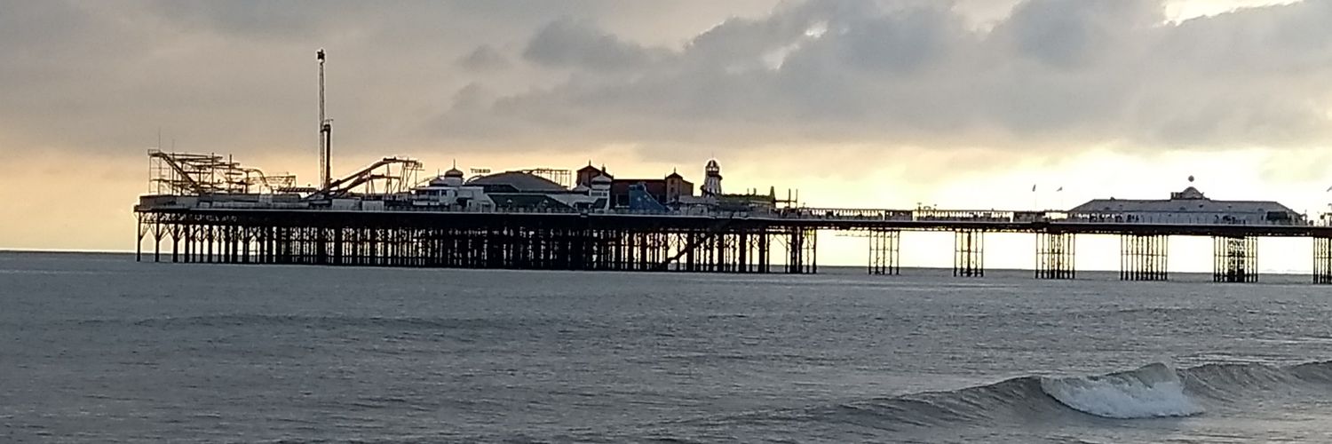 Helenweybourne#FBPE banner