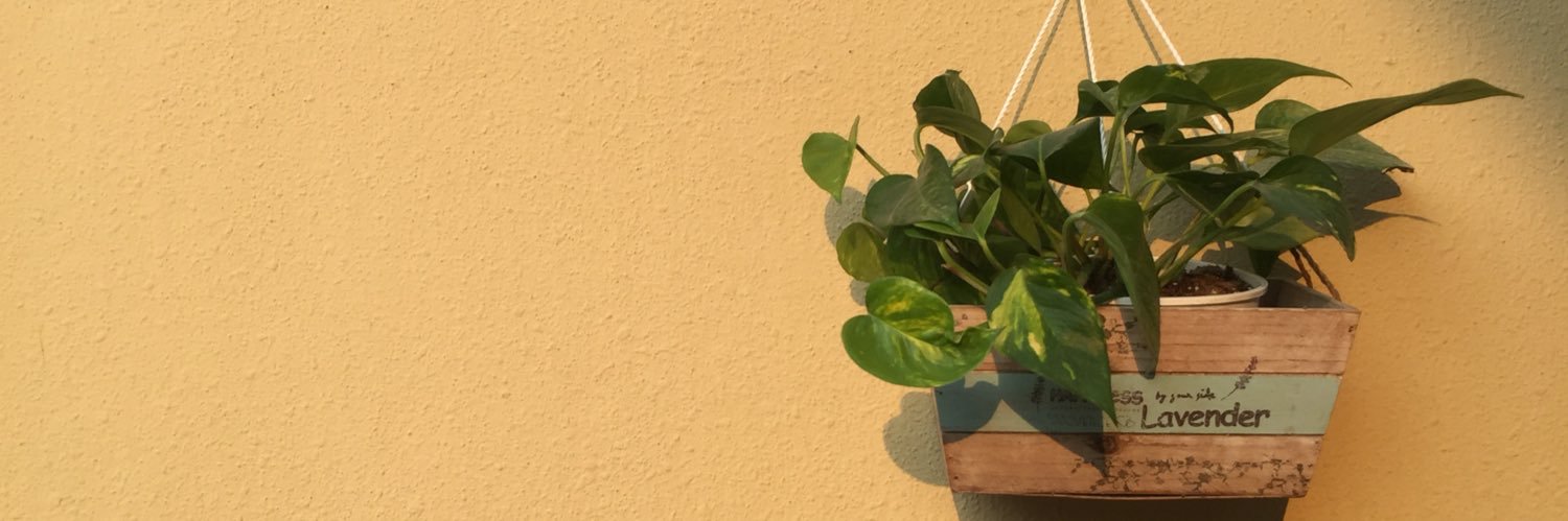 عائشة 🍃 banner