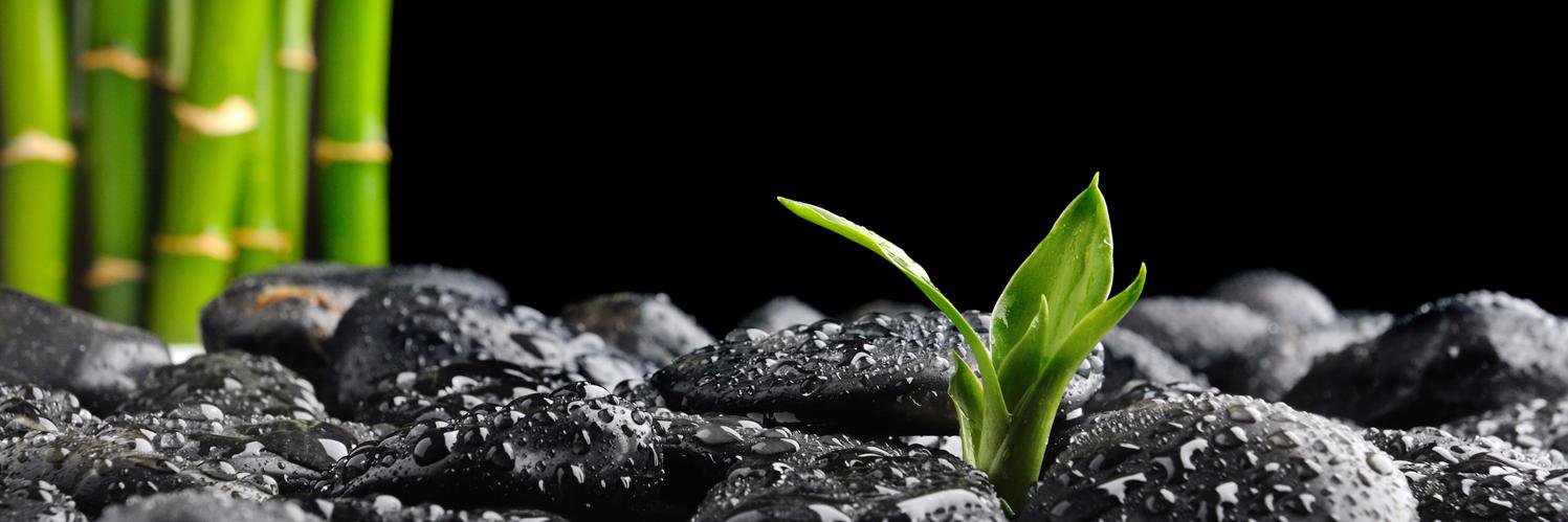 InvestZen's profile banner image