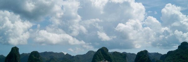 M0llenhauer Profile Banner