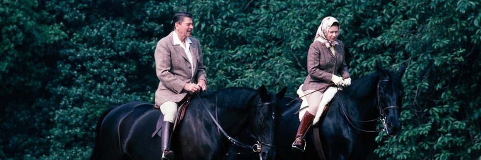 Mark McClelland banner