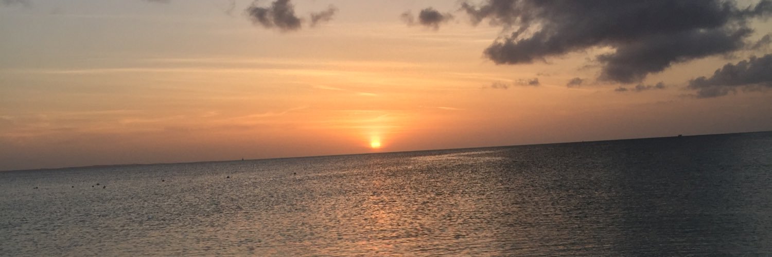 ColeShartzer's profile banner image