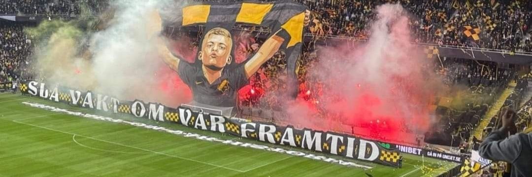 Annika Fridfelt banner