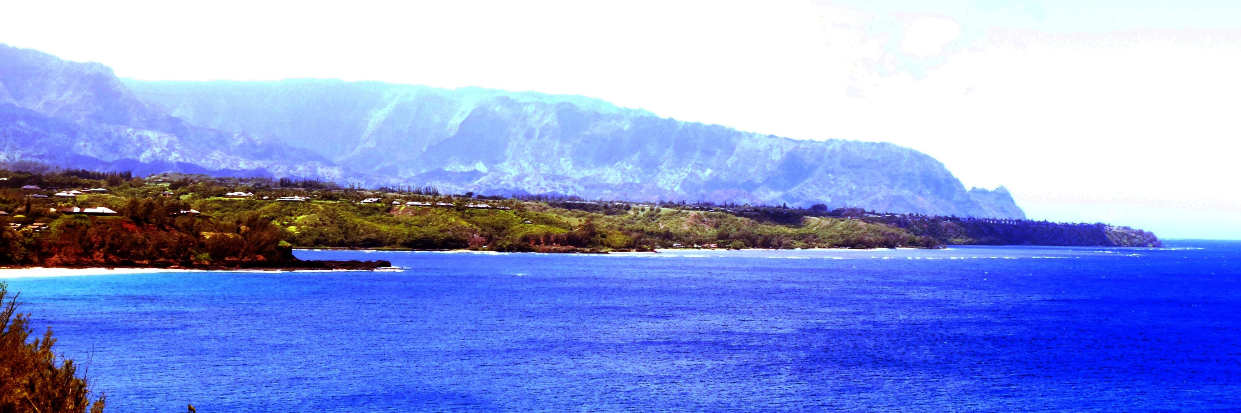 reddirtisland's profile banner image