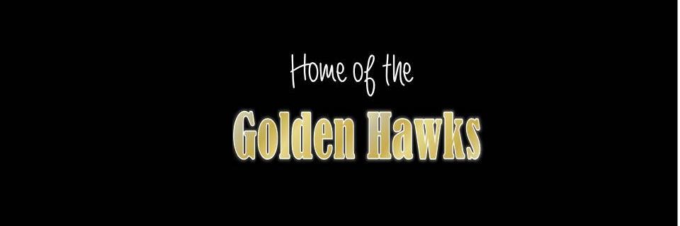 waco_hawks's profile banner image