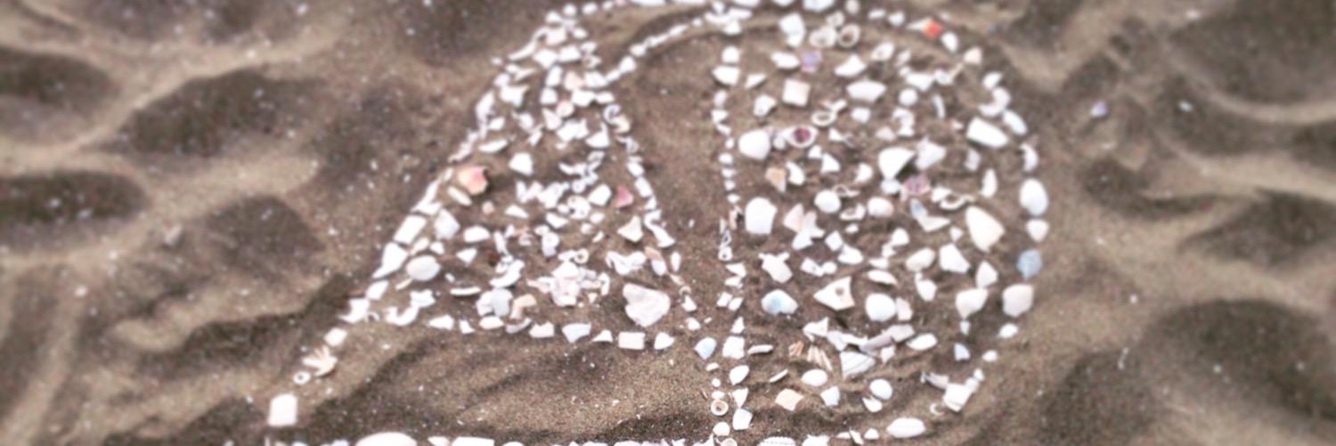 wimperCHAM's profile banner image