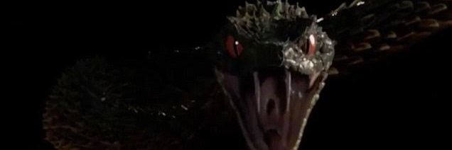 martgerard_'s profile banner image