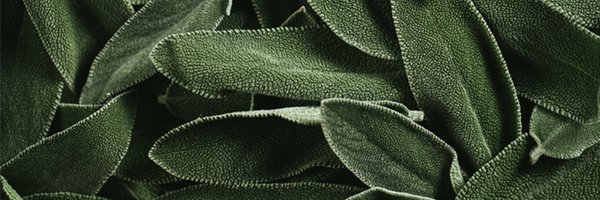 SajeWellness Profile Banner