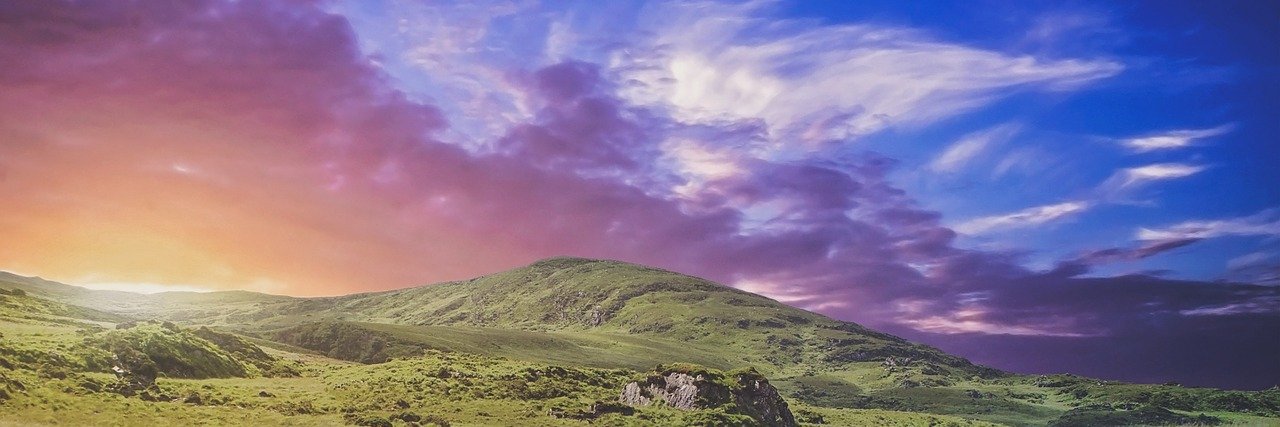 Nguyen Thu Lan banner