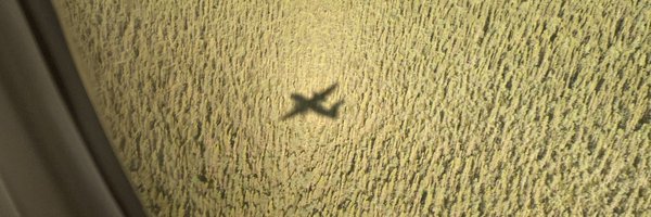 SarahBencharif Profile Banner