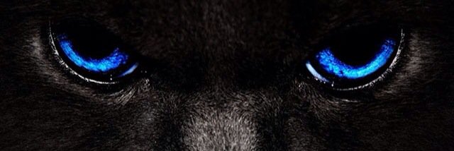 FebryRombe's profile banner image
