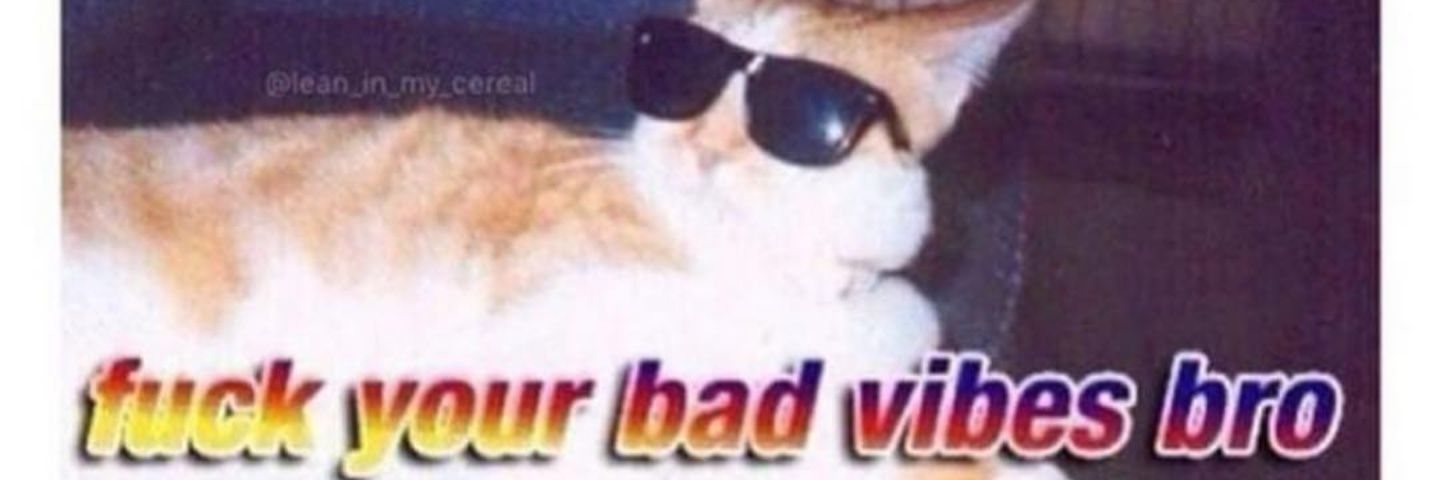 StopDropBoogie's profile banner image