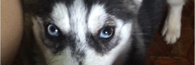 Elleyeeaaah's profile banner image