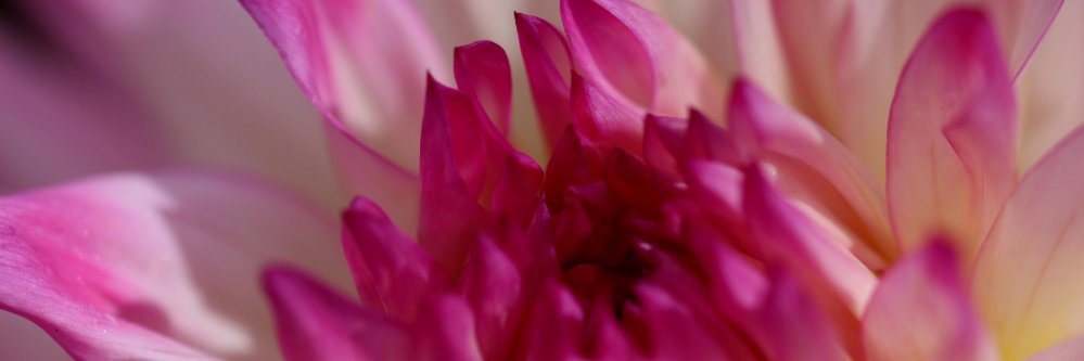 ClaireHouse1's profile banner image