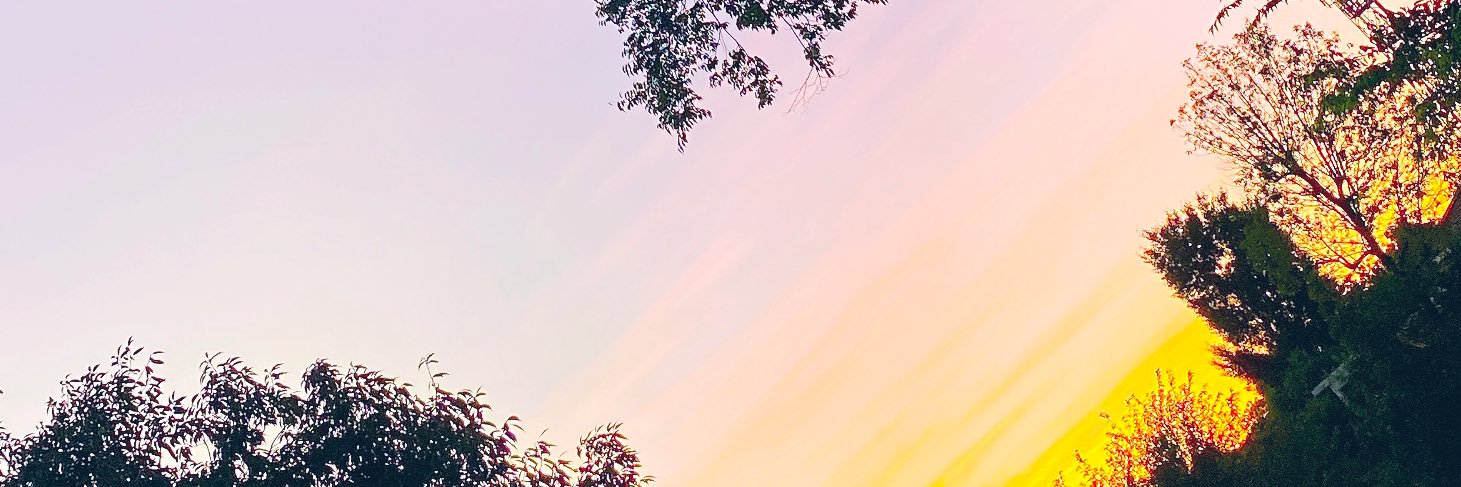 reiku47's profile banner image