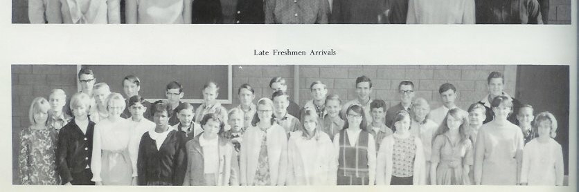 jamie johnson banner