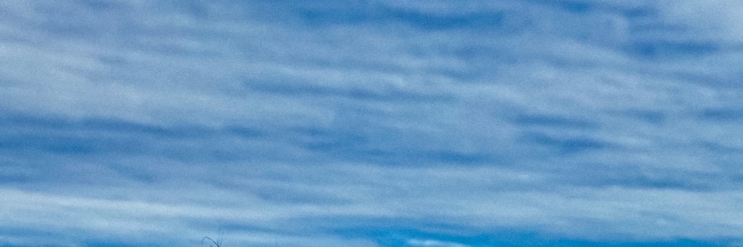 alanasommer's profile banner image