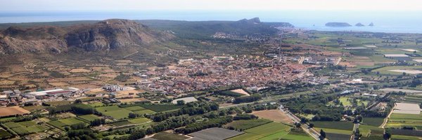 AjTorroella Profile Banner
