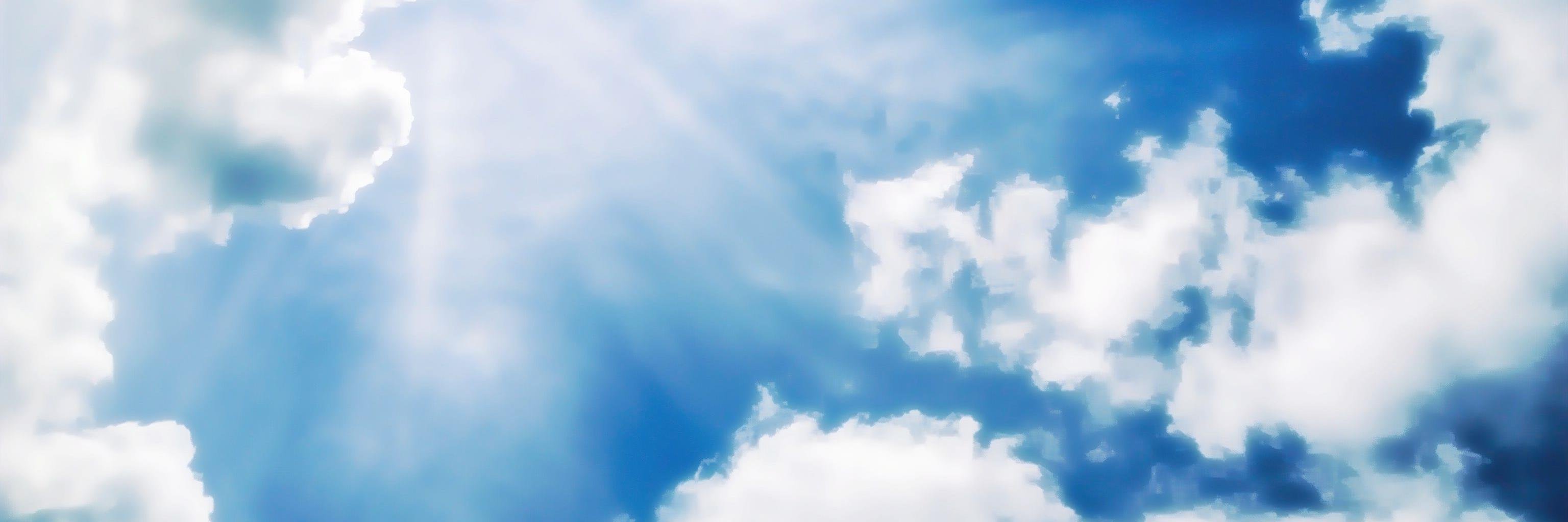stigr's profile banner image