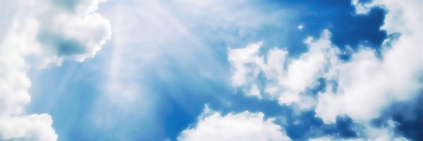 stigr Profile Banner