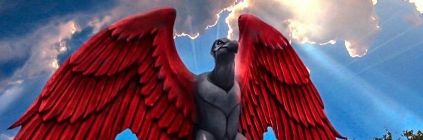 cleisonFG's profile banner image