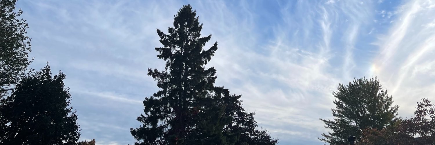 triggerinottawa's profile banner image