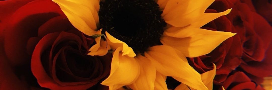 JudithHilson's profile banner image