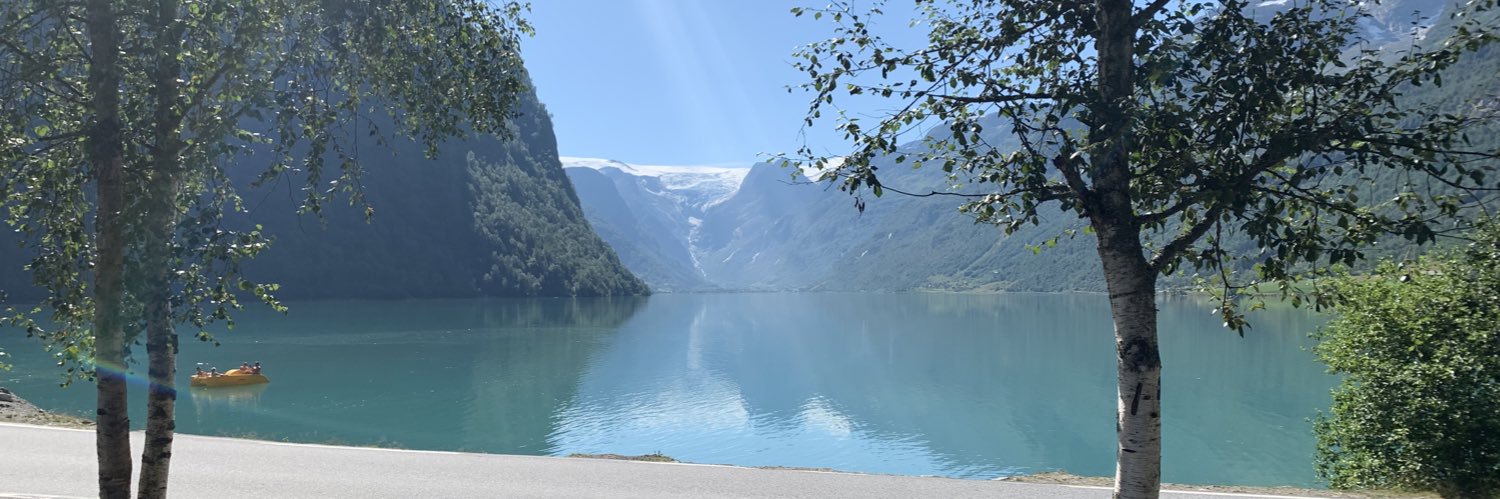 ovesvein's profile banner image