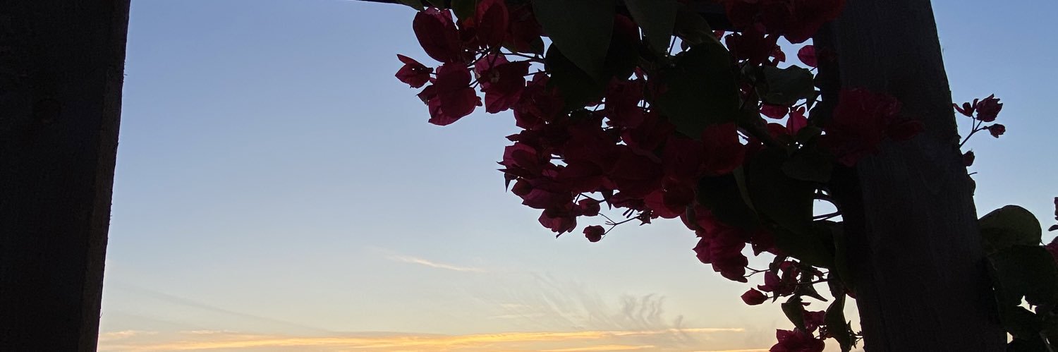 n1995__'s profile banner image