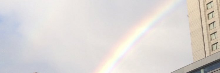 Mkrkumi's profile banner image
