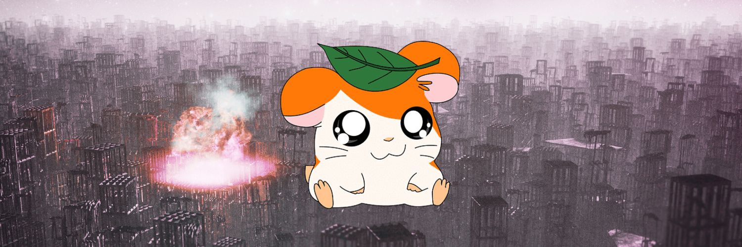 B l a c k S w a n banner