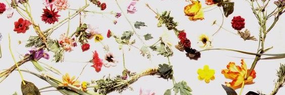 •°☆°•☆•° banner