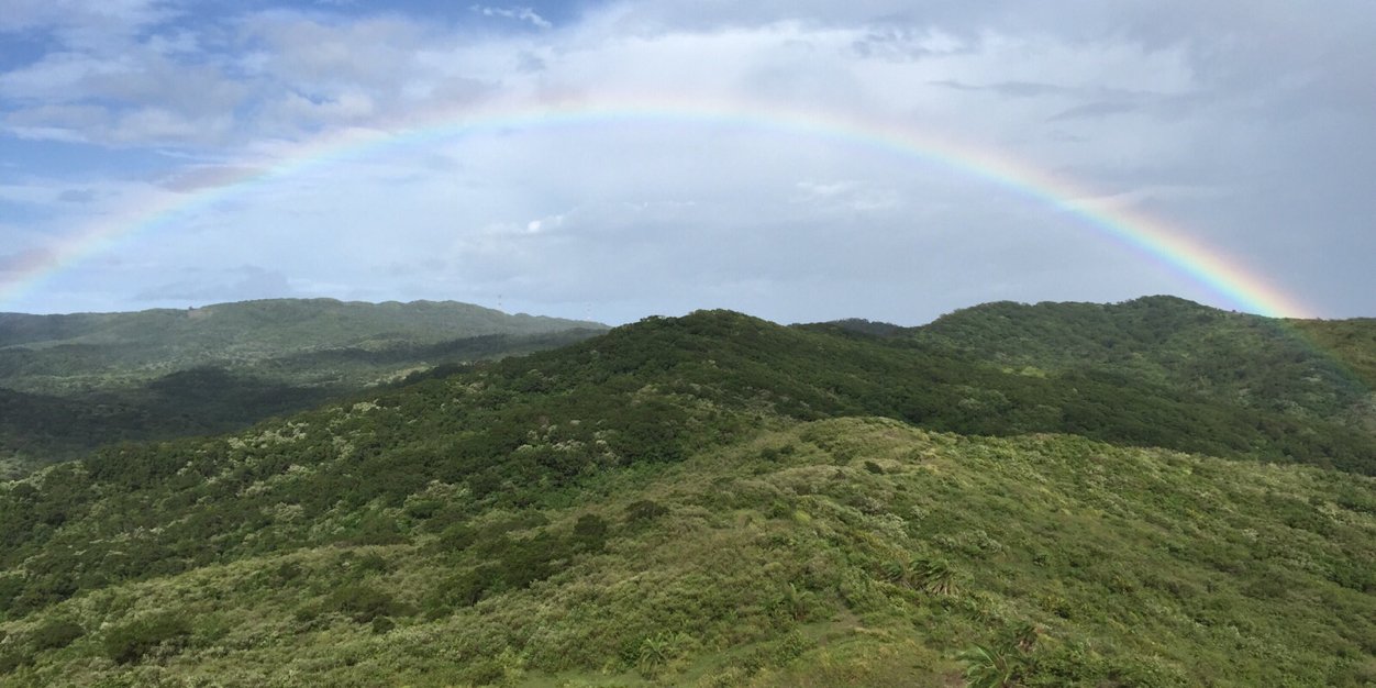 Cuifuhere's profile banner image