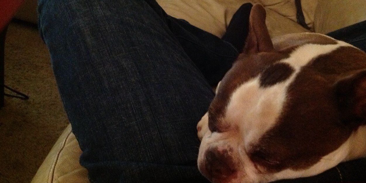 Survive and Advance banner