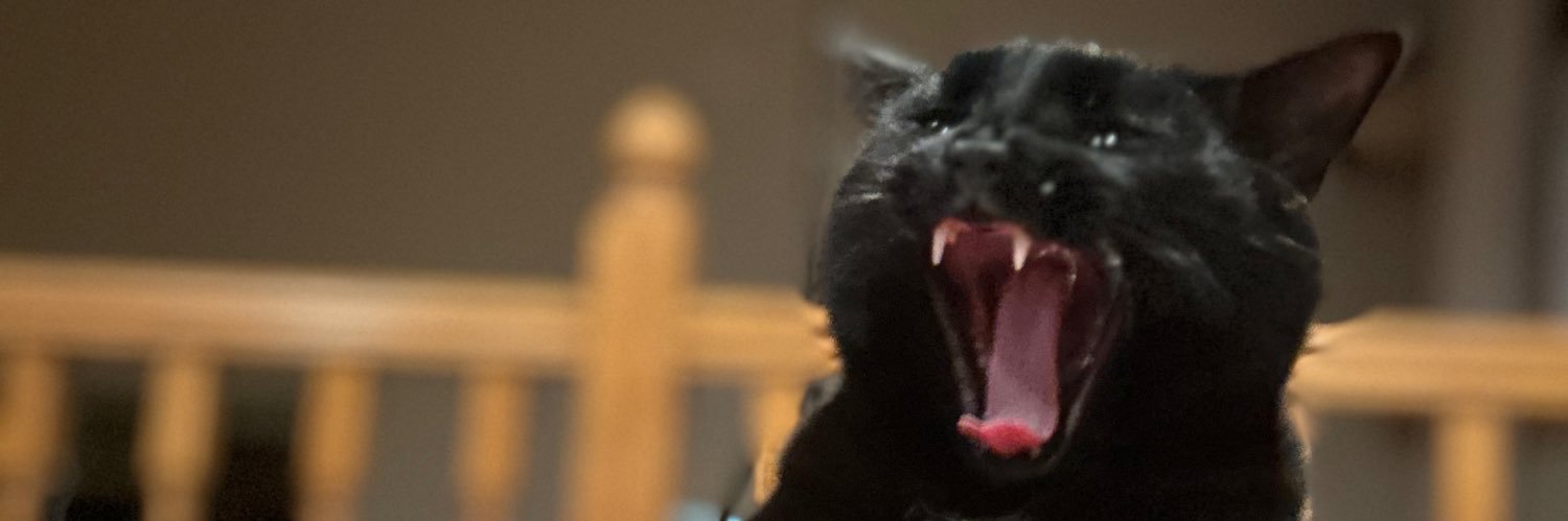phootballguy's profile banner image