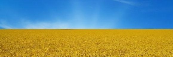 denis5013100's profile banner image