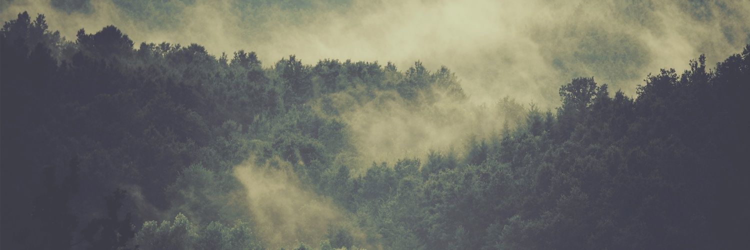 mann. banner