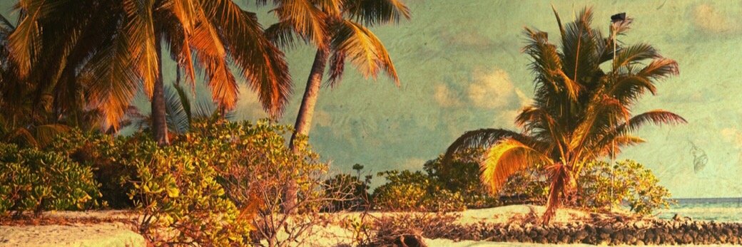 RonScott719's profile banner image