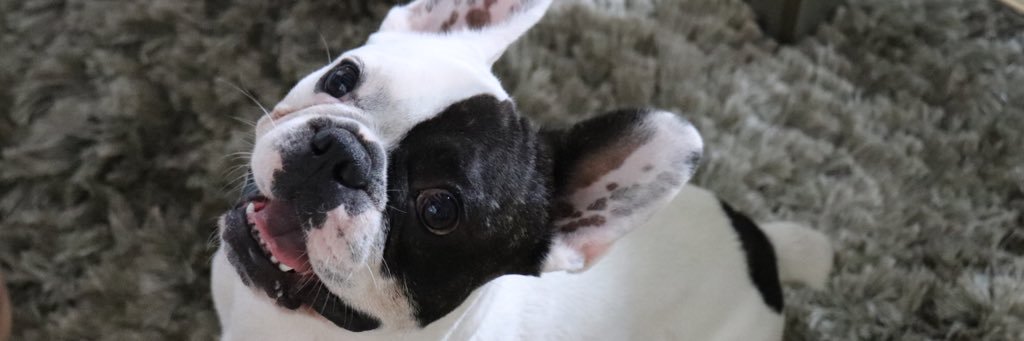 karyy.✿ banner