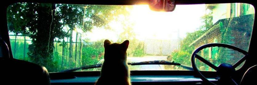 purringtonpost's profile banner image