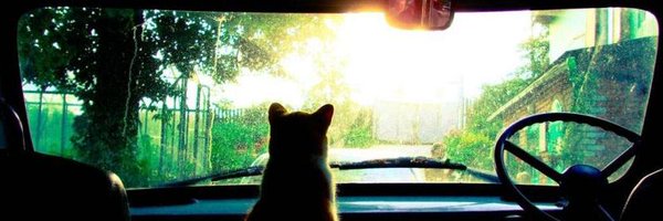 purringtonpost Profile Banner