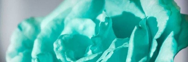 nay1deen's profile banner image