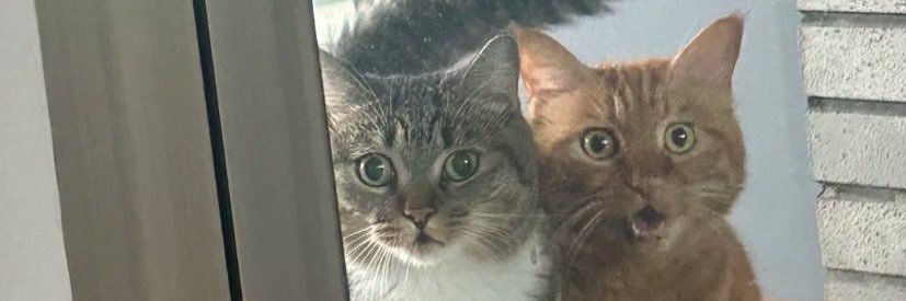 fdleffnd's profile banner image