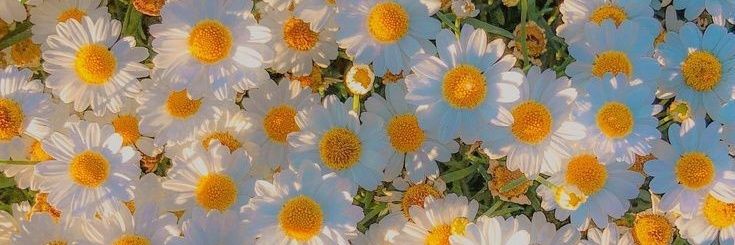 andree_crp's profile banner image