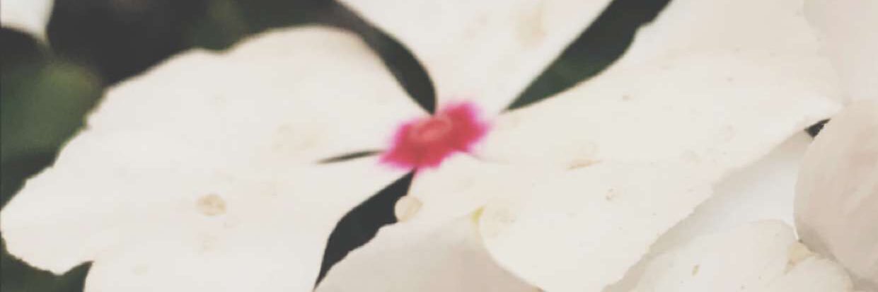 cynIj2g's profile banner image