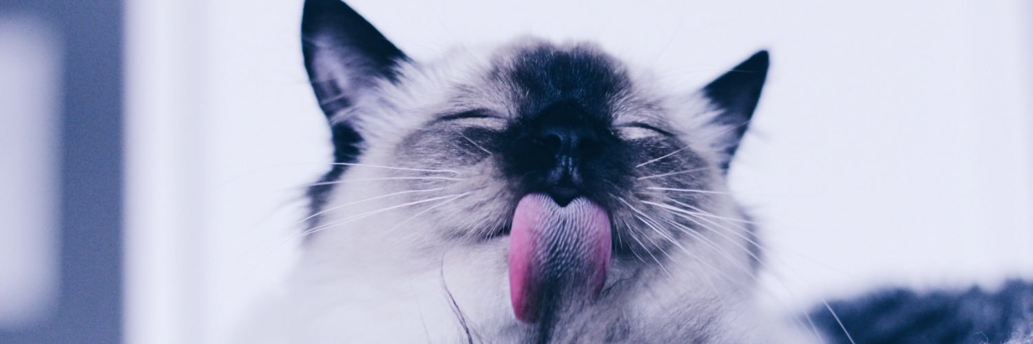 JeniferEriksson's profile banner image